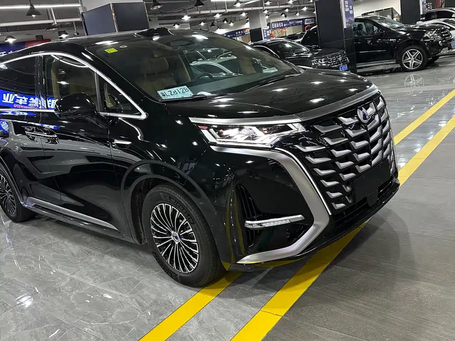 BYD D9
