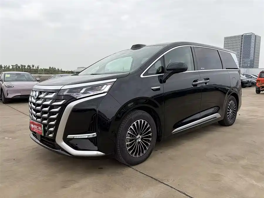 BYD D9