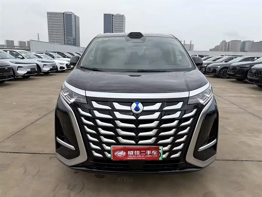 BYD D9