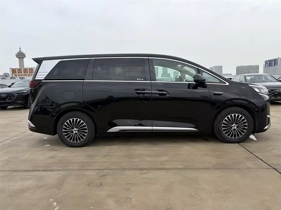 BYD D9