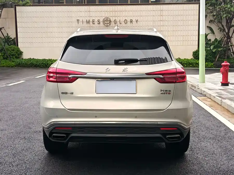 Hongqi HS5