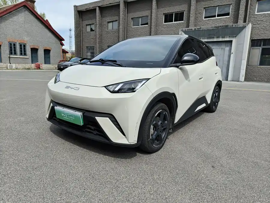 BYD Seagull
