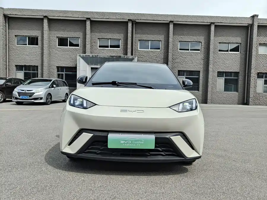 BYD Seagull