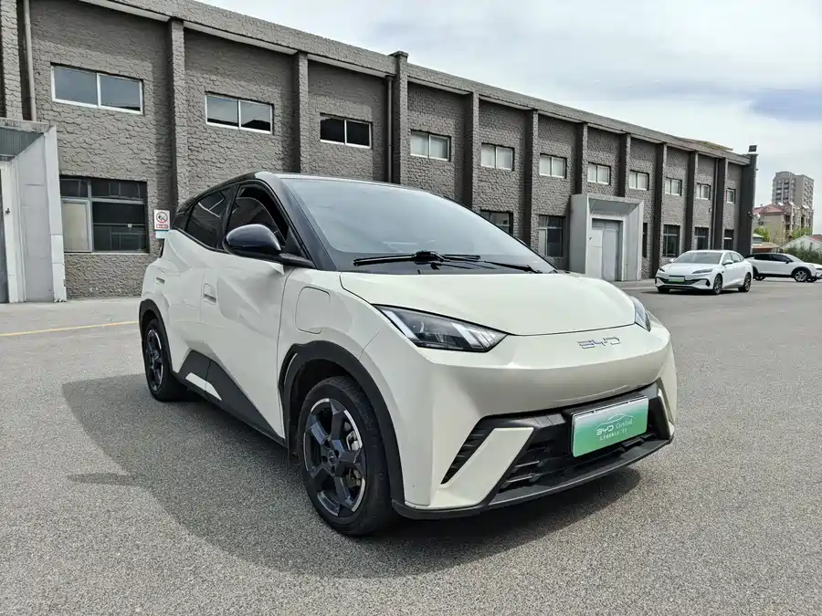 BYD Seagull
