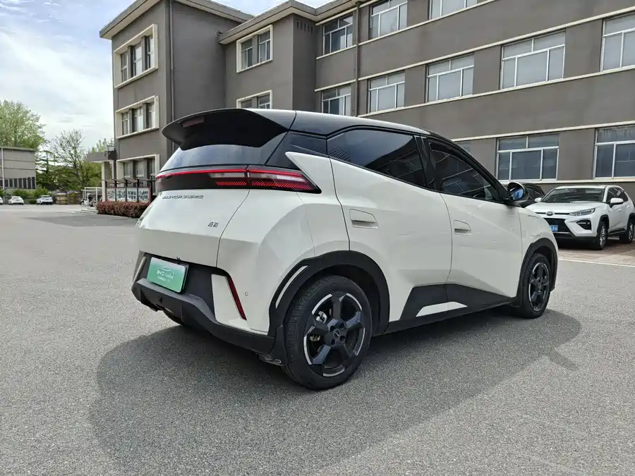 BYD Seagull