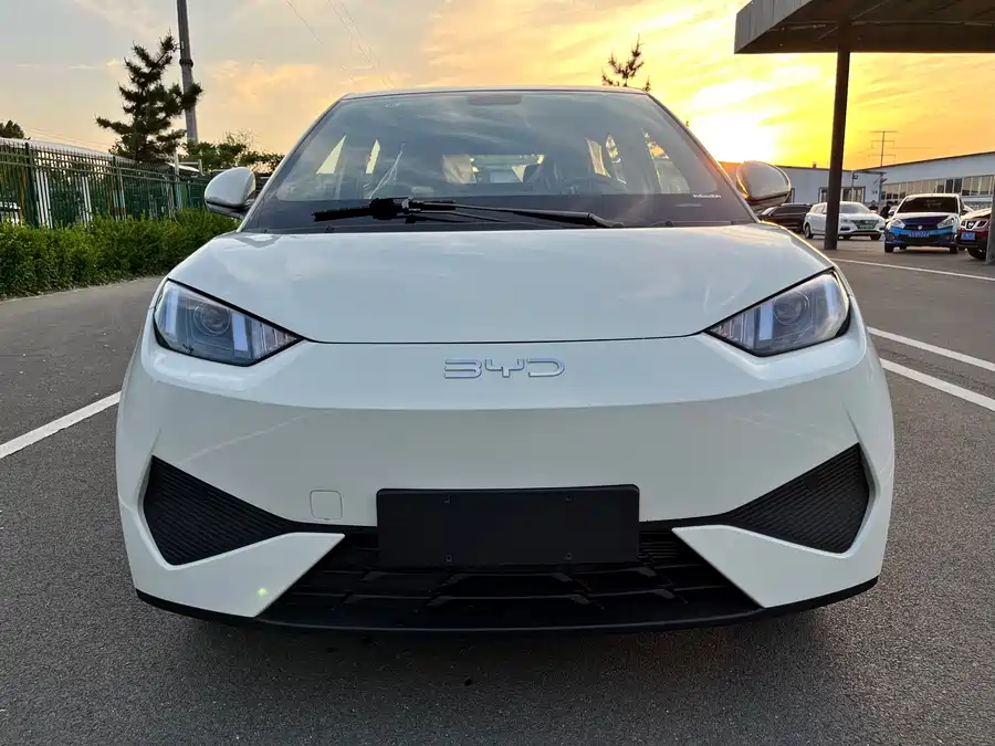 BYD Seagull
