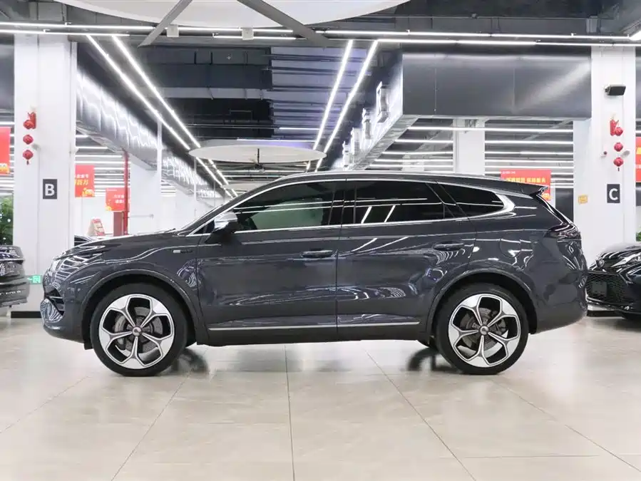 BYD X