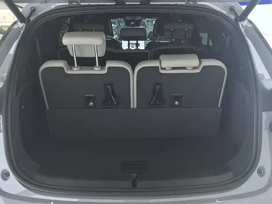 BYD Tang New Energy