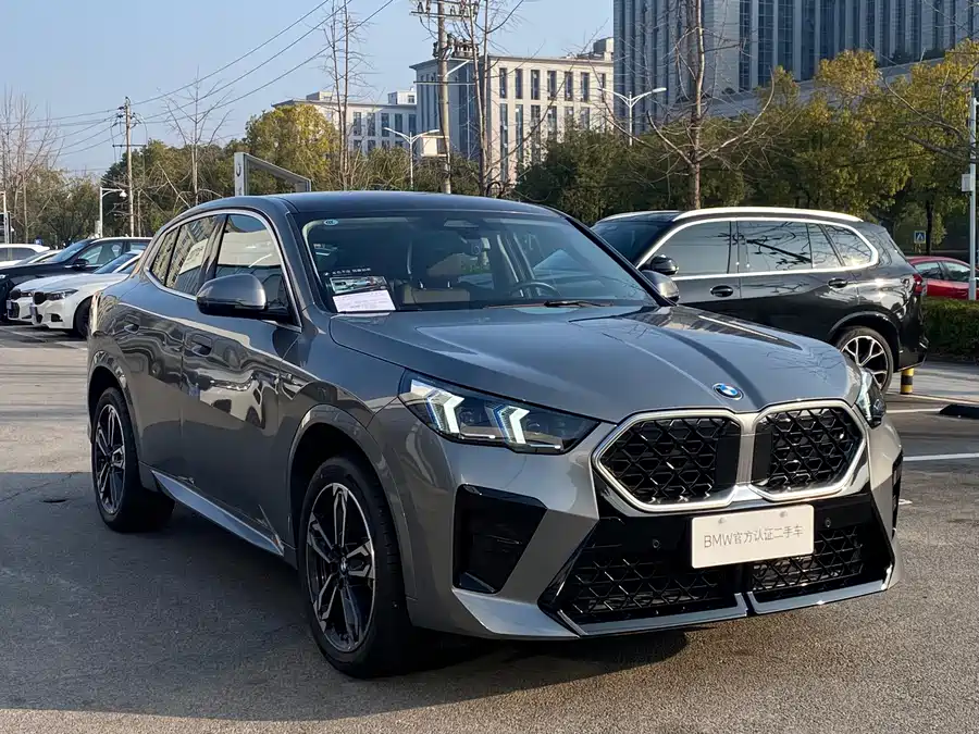 BMW X2