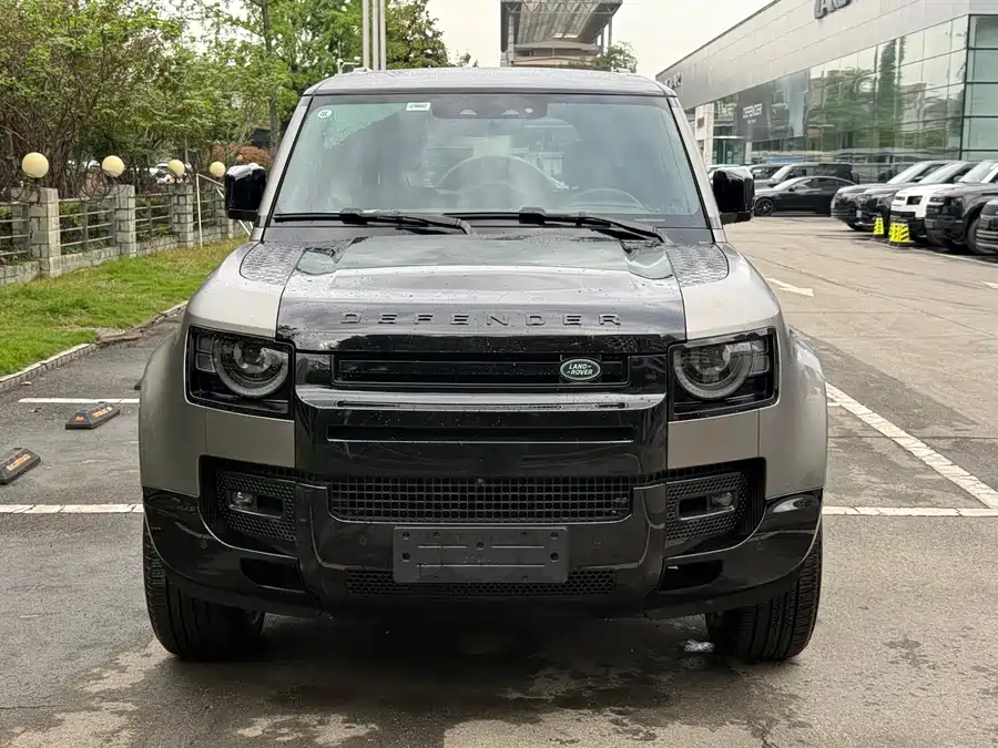 Land Rover guard