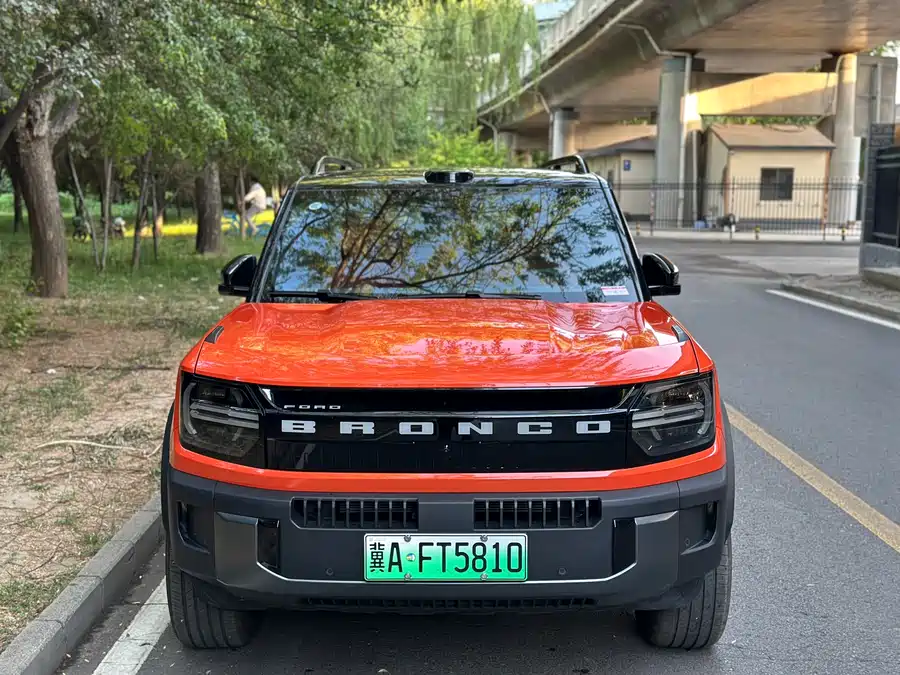 Ford Smart and Fun Horse