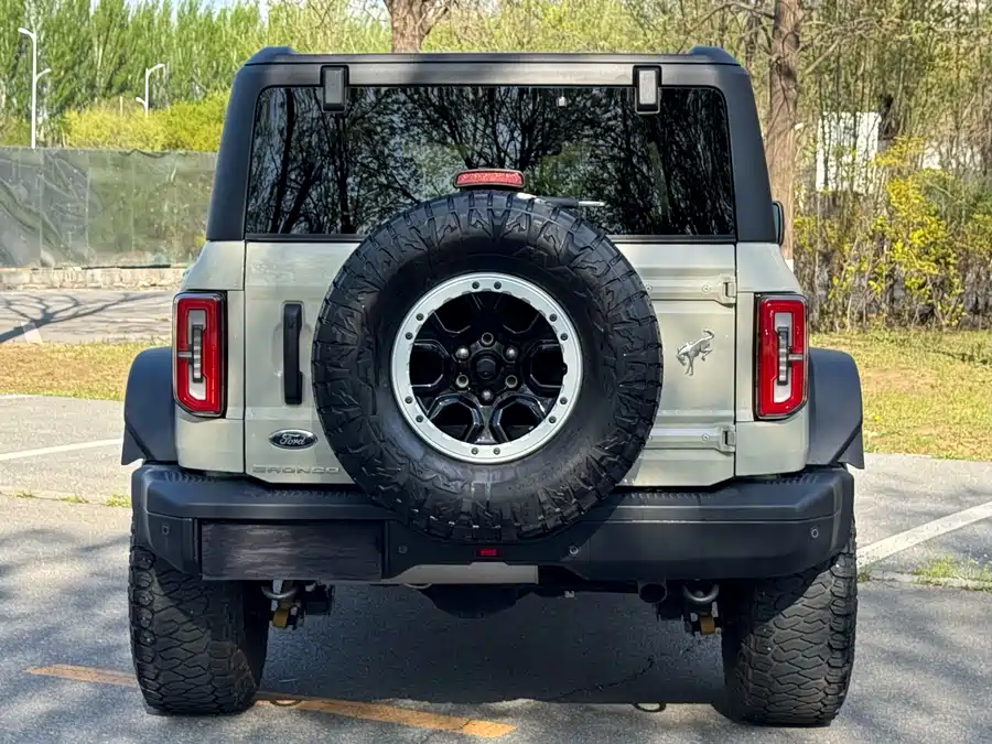 Ford Wild Horse
