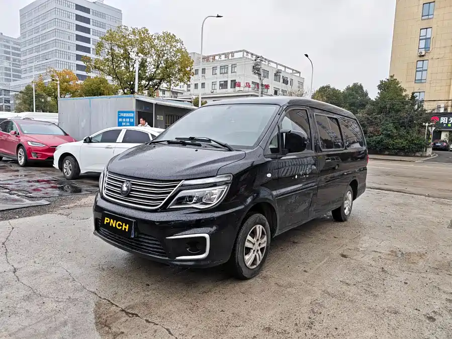 Dongfeng Lingzhi