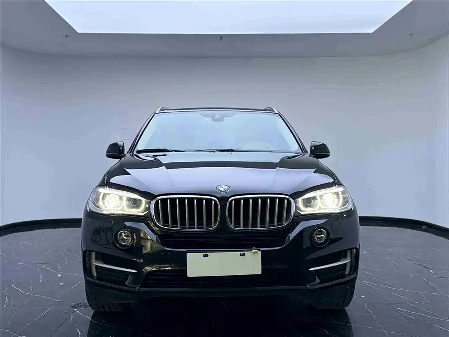 BMW X5 New Energy