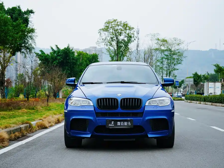 BMW X6 M