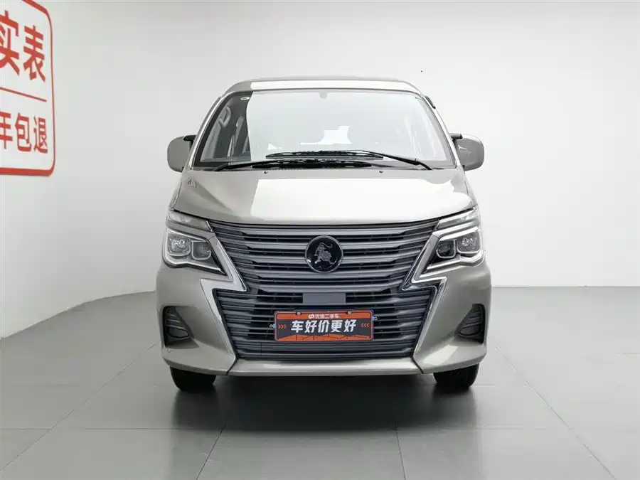 Dongfeng Lingzhi