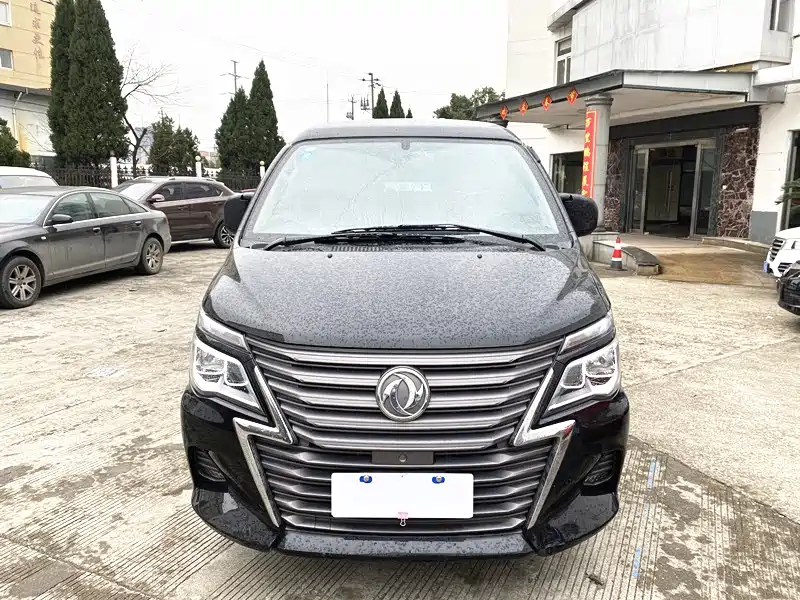 Dongfeng Lingzhi