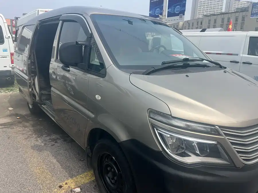 Dongfeng Lingzhi