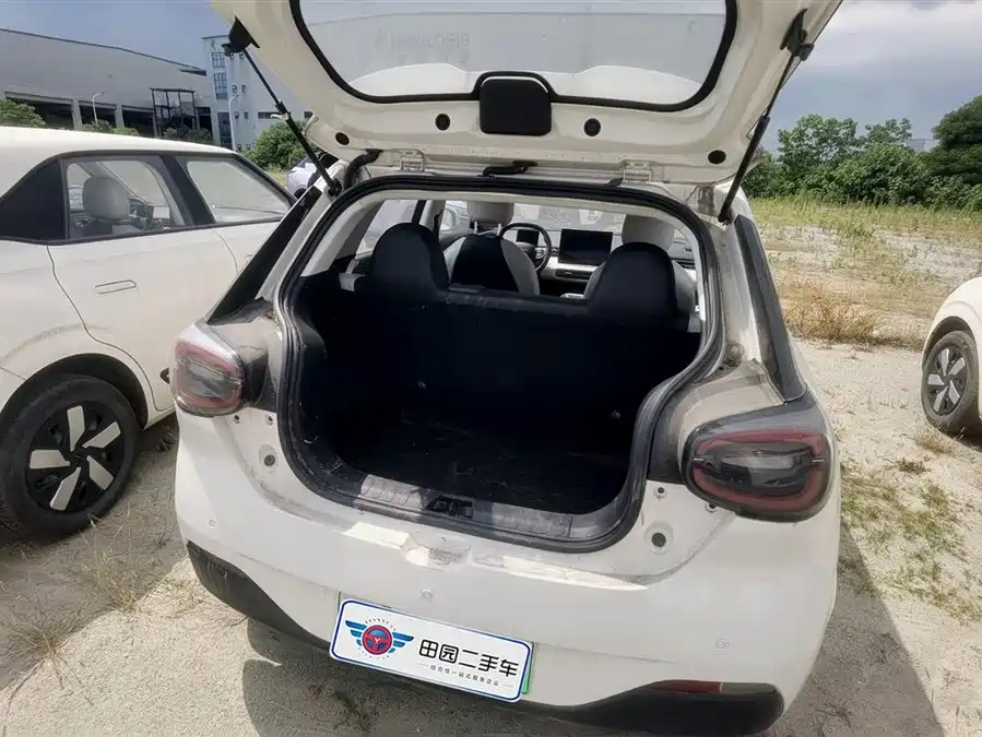 Dongfeng nano 01
