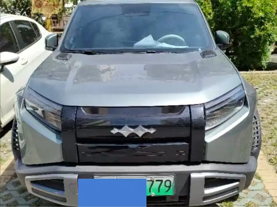 BYD Leopard Titanium 3