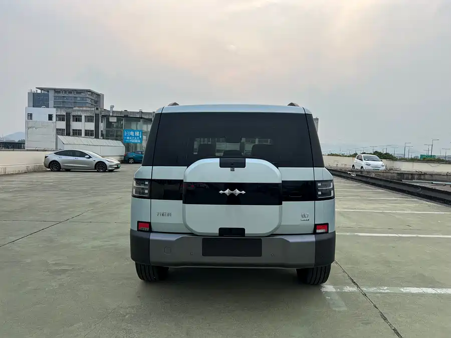 BYD Leopard Titanium 7