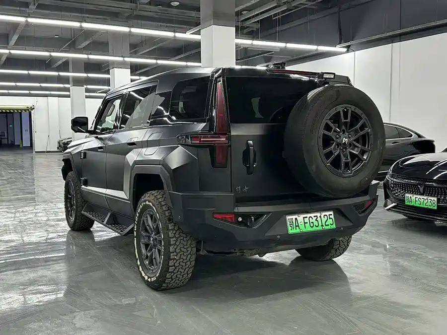 Mengshi 917