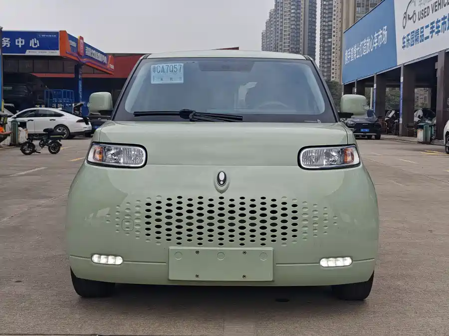 ORA White cat