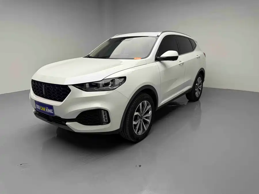 Wey VV6