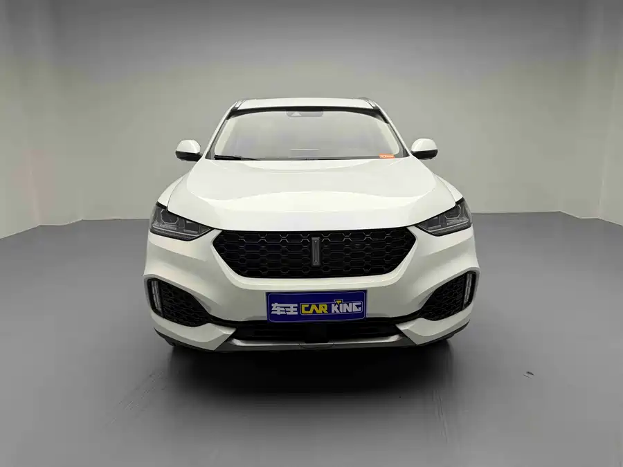 Wey VV6