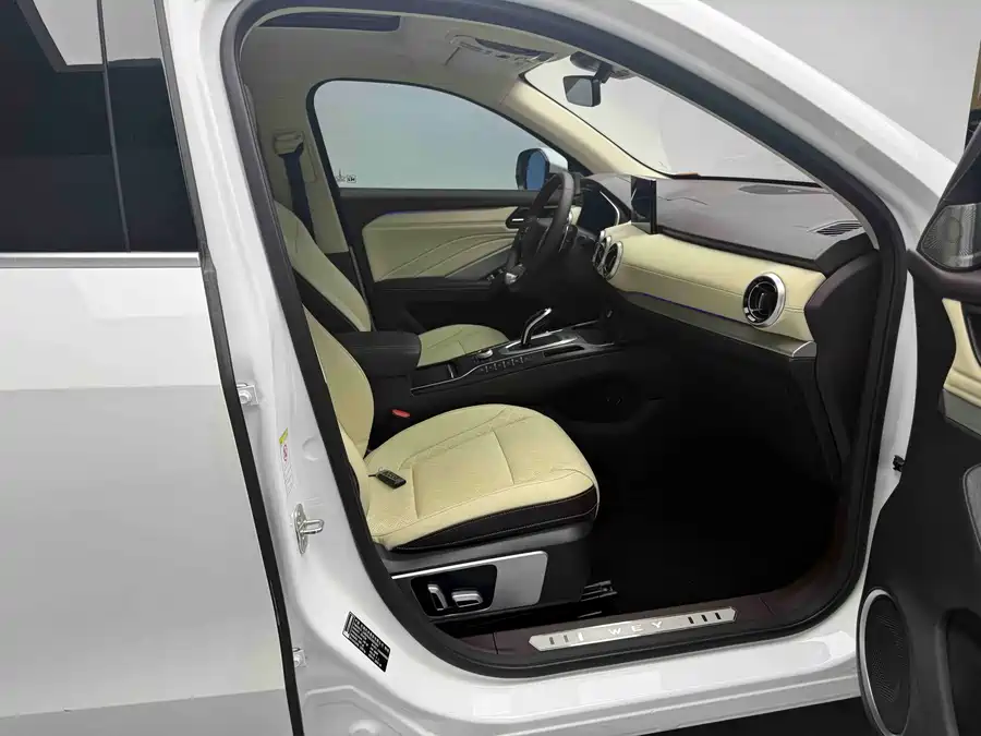 Wey VV6
