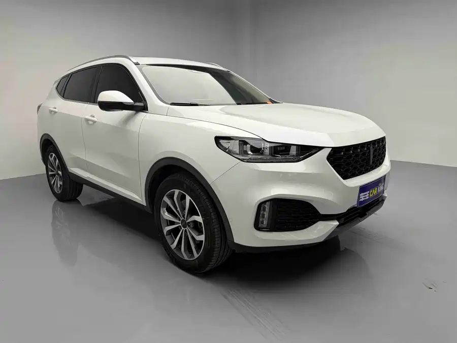 Wey VV6