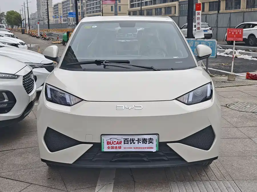 BYD Seagull