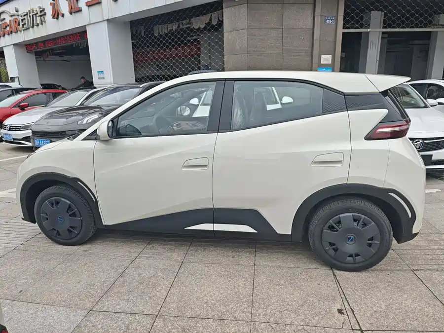 BYD Seagull