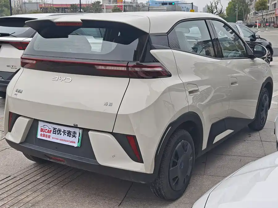 BYD Seagull