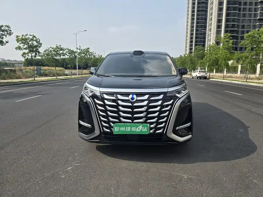 BYD D9