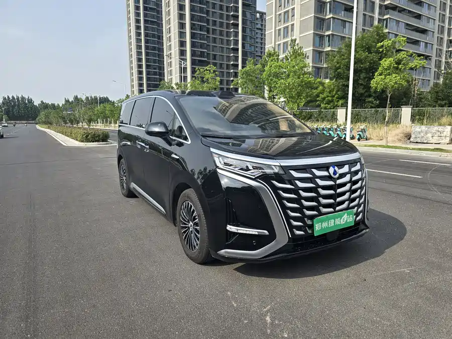 BYD D9