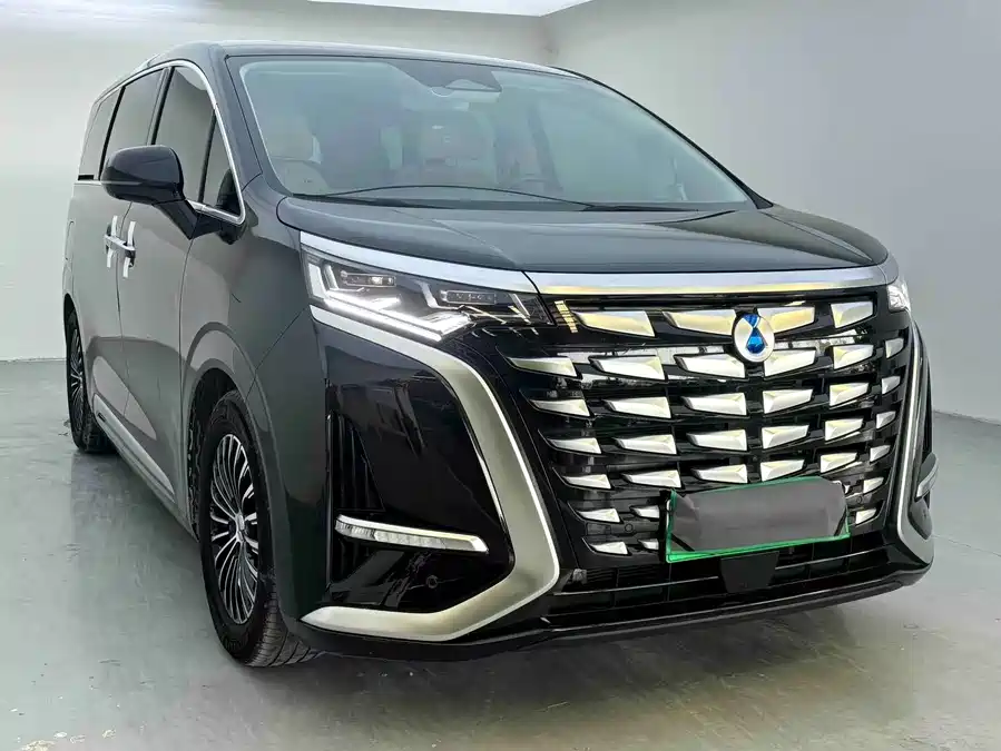 BYD D9