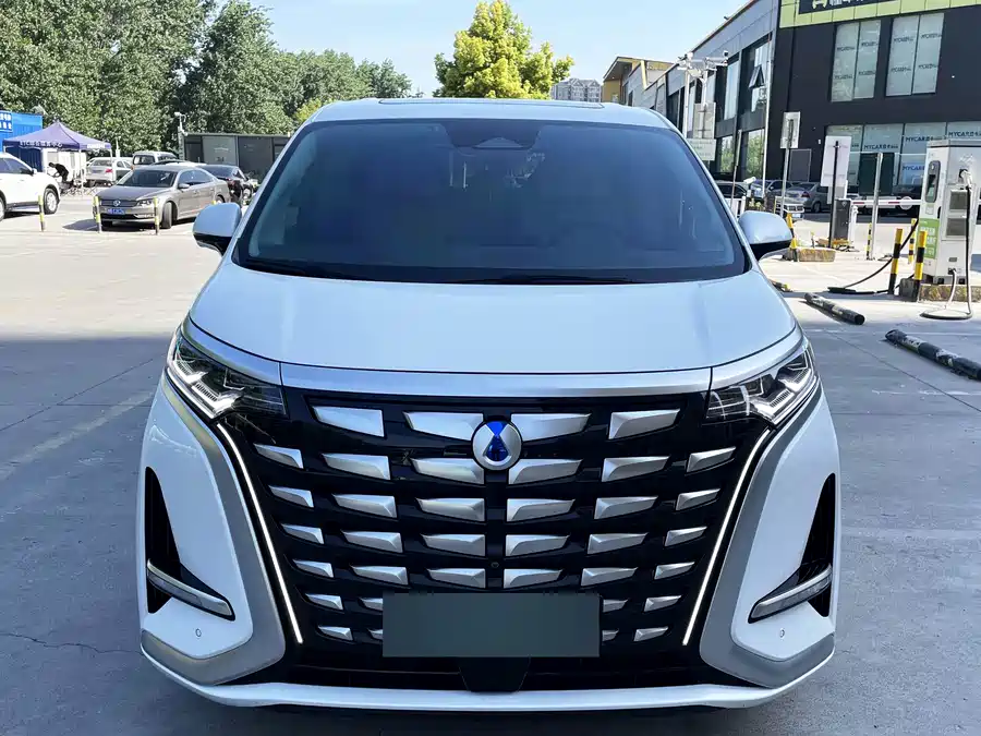 BYD D9