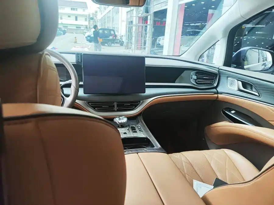BYD D9