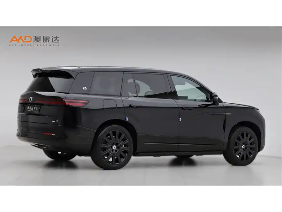 BYD N9