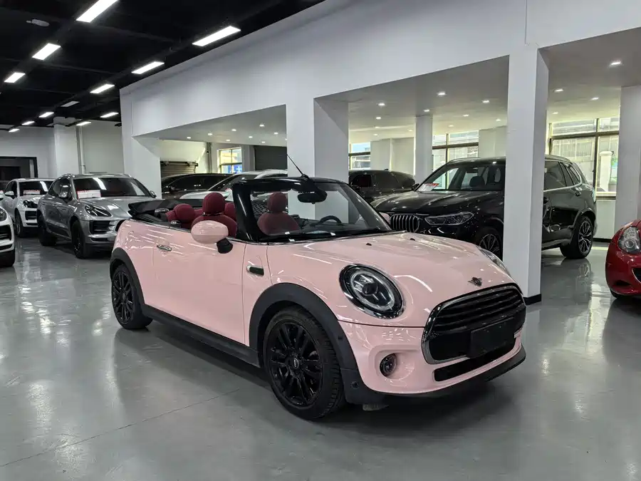 MINI 