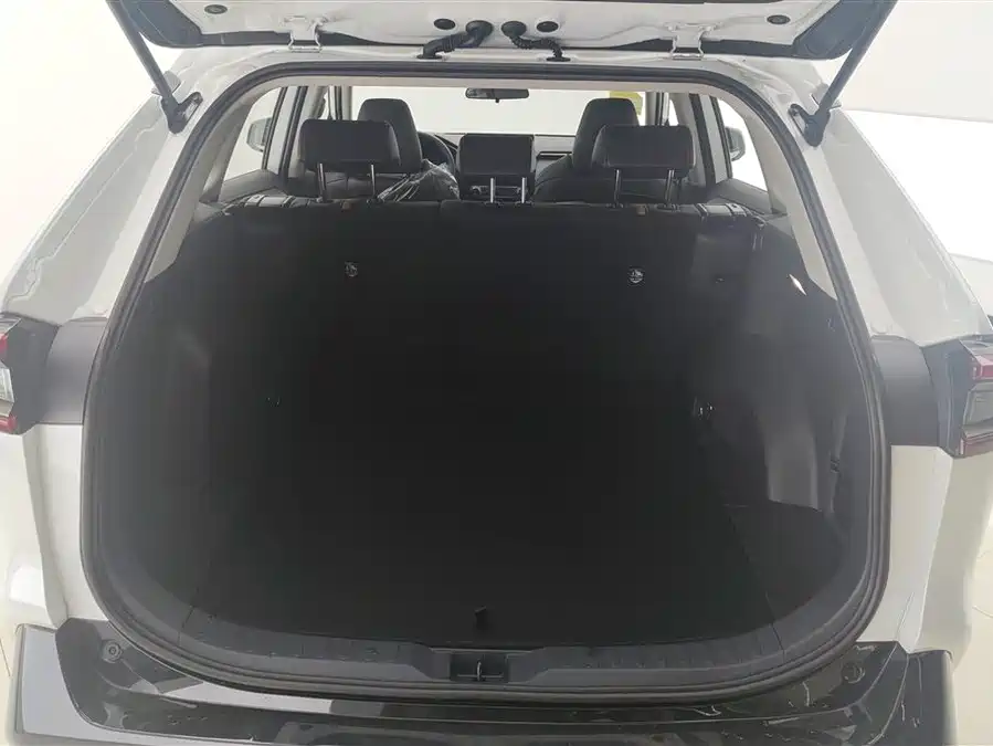 Toyota Wildlander