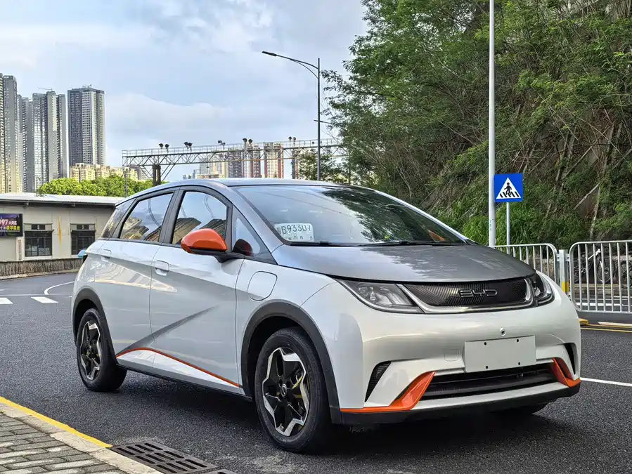 BYD Dolphin
