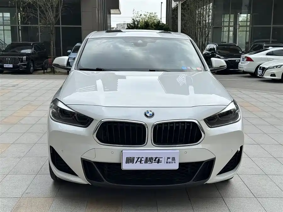 BMW X2