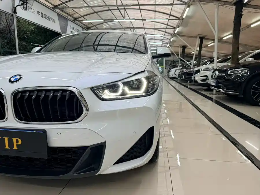 BMW X2