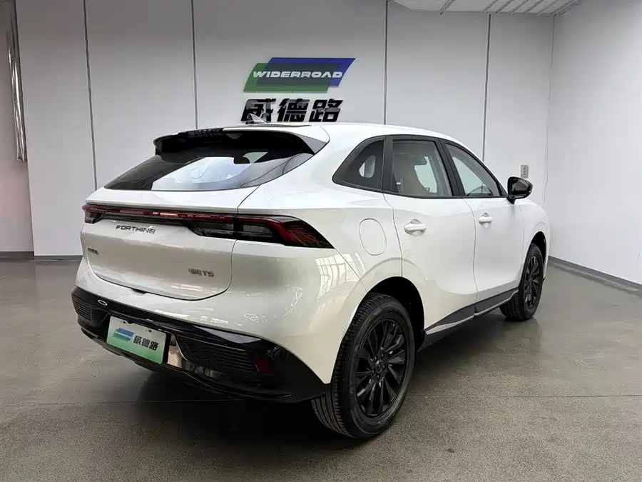 Dongfeng Xinghai T5