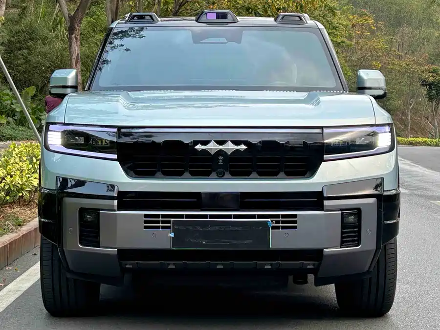 BYD Leopard Leopard 8