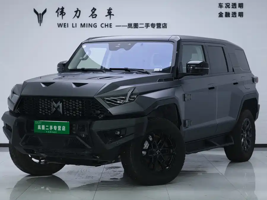 Mengshi 917