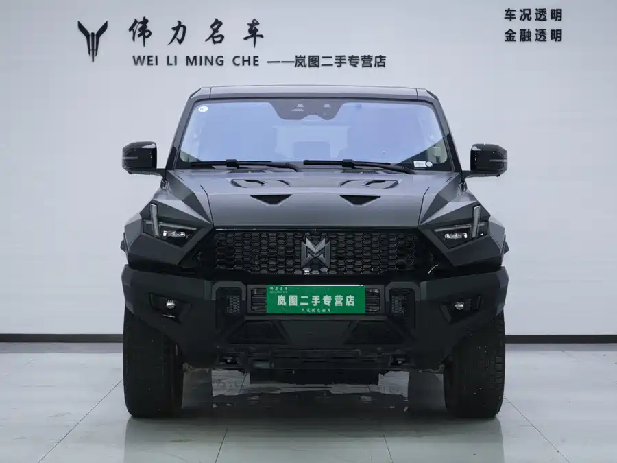 Mengshi 917