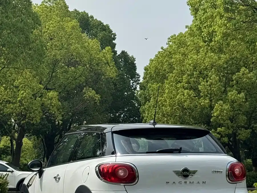 MINI PACEMAN